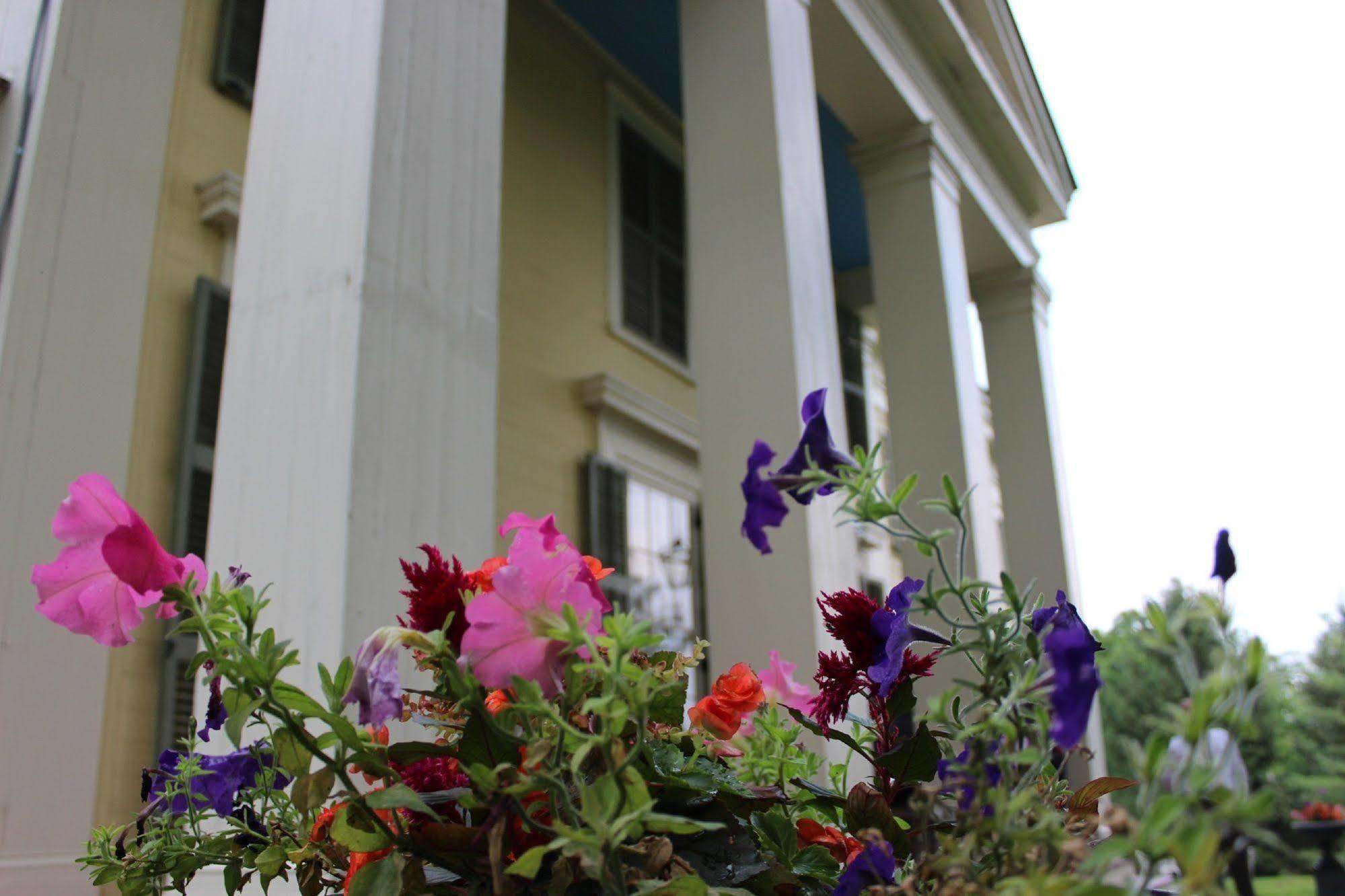 Oakcliff Bed And Breakfast Halfmoon エクステリア 写真
